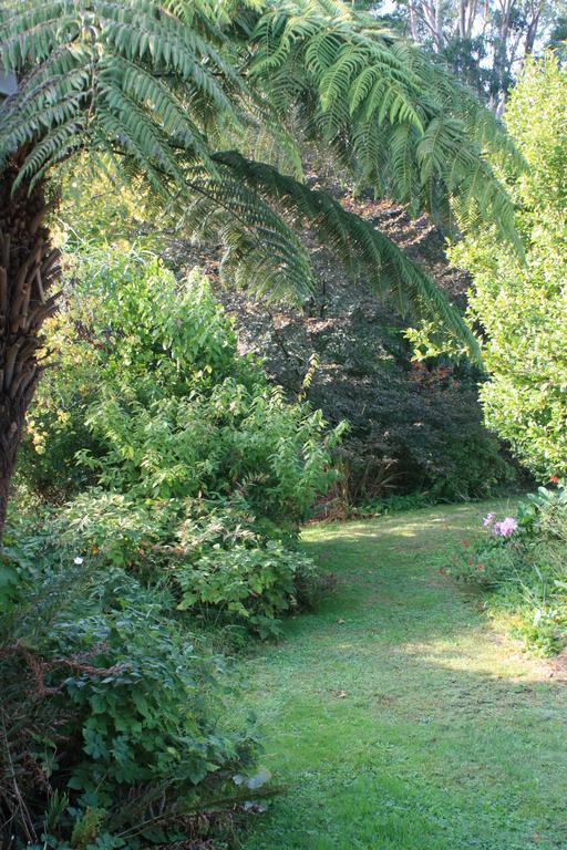 Strathmore Farm B&B Mirboo North Eksteriør bilde