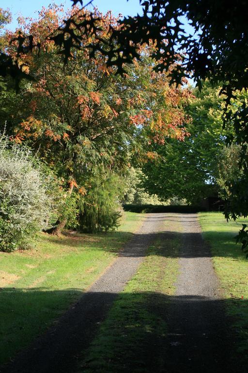 Strathmore Farm B&B Mirboo North Eksteriør bilde